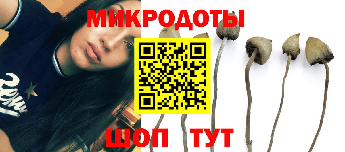 Псилоцибиновые грибы мухоморы  цена наркотик  Котовск  Вход с VPN 